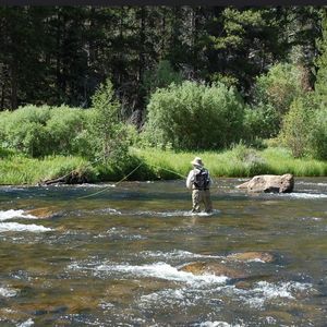 Meet your Posher, Tom